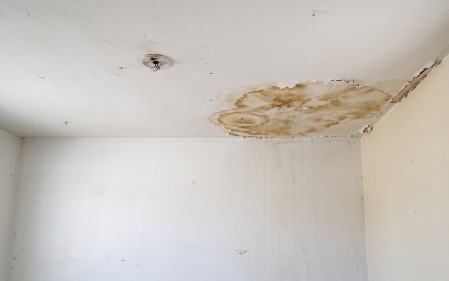 A wall and ceiling with water damage in an empty room, a house sold as-is with repairs needed.